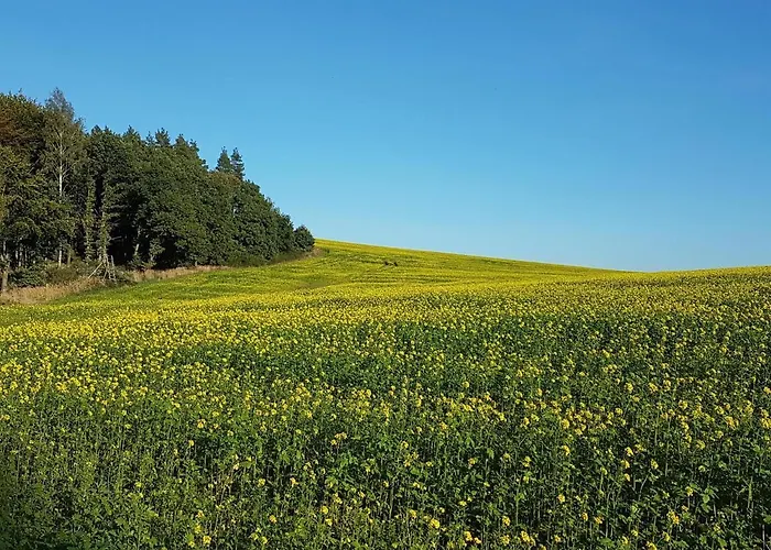 Reichstaedter Ferienidyll * Dippoldiswalde